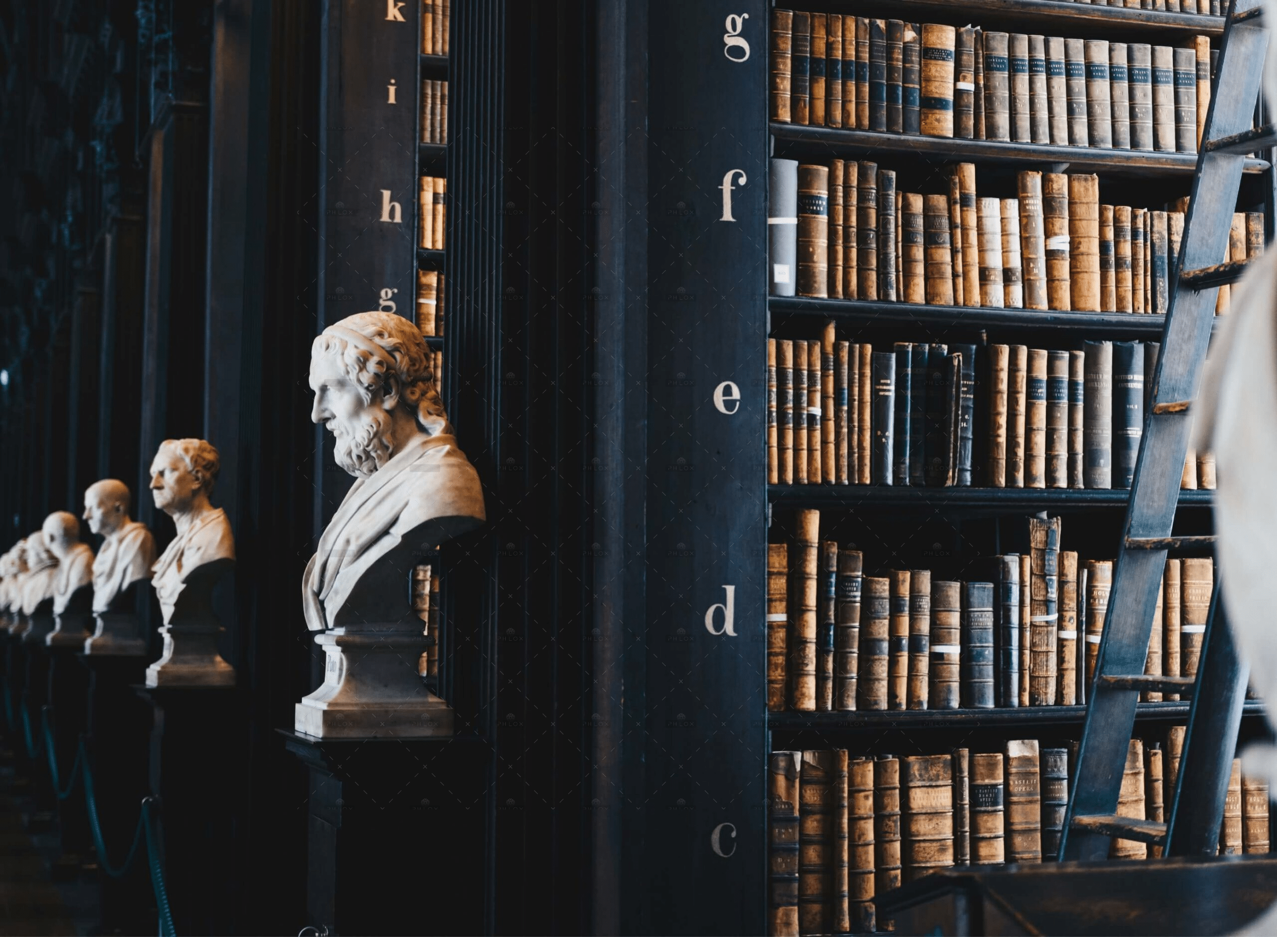 Marble bust statue beside old law books on library shelf